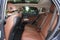 2021 Acura RDX w/Technology Package