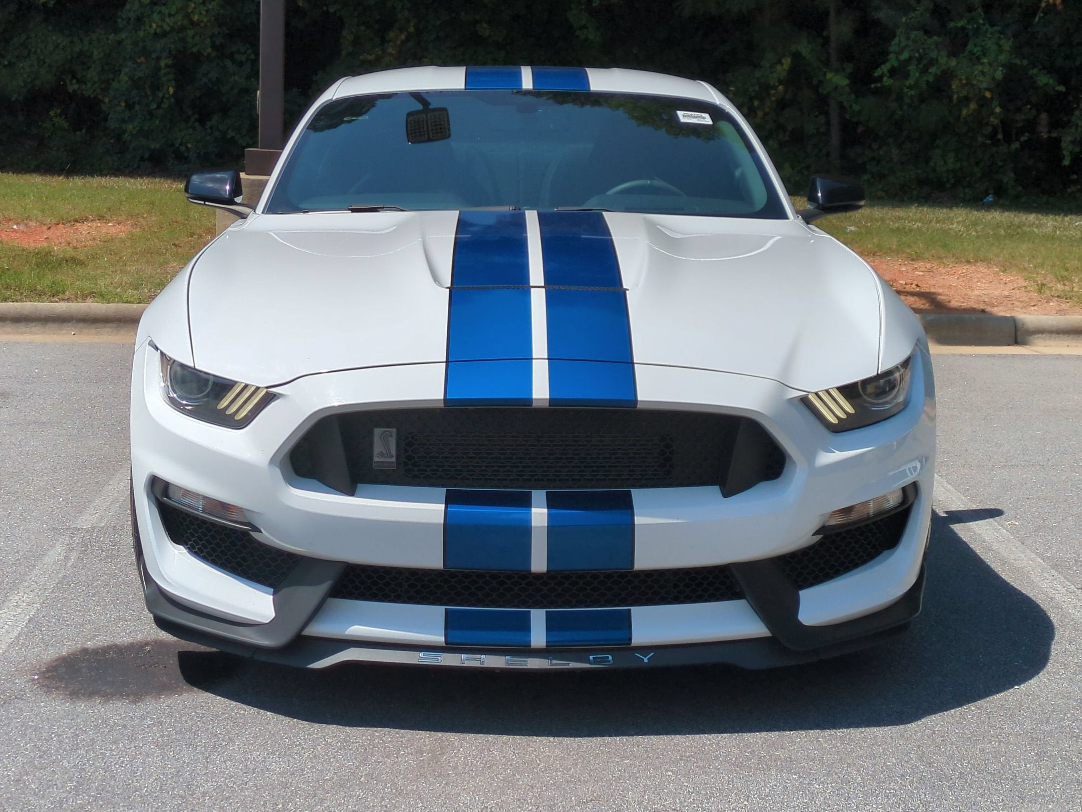 2017 Ford Mustang Shelby GT350