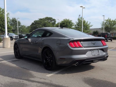 2023 Ford Mustang EcoBoost