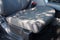2021 Ford Super Duty F-250 SRW XLT