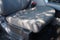 2021 Ford Super Duty F-250 SRW XLT