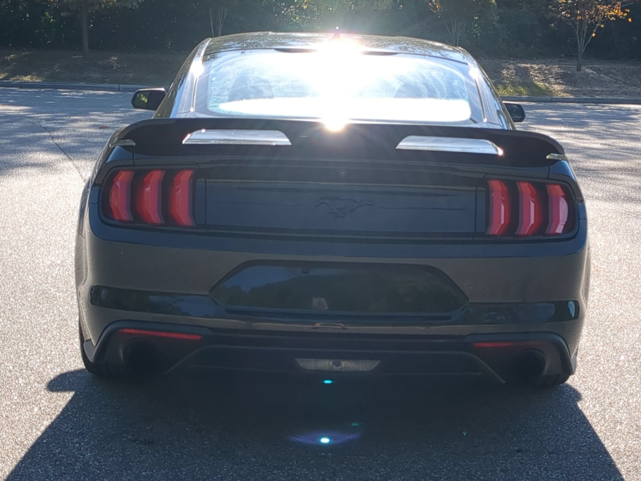 2023 Ford Mustang EcoBoost