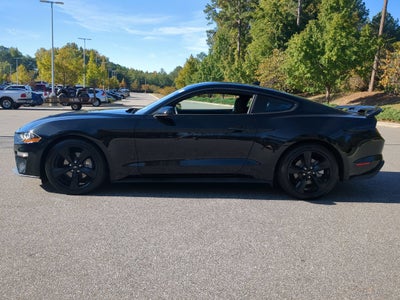 2023 Ford Mustang EcoBoost
