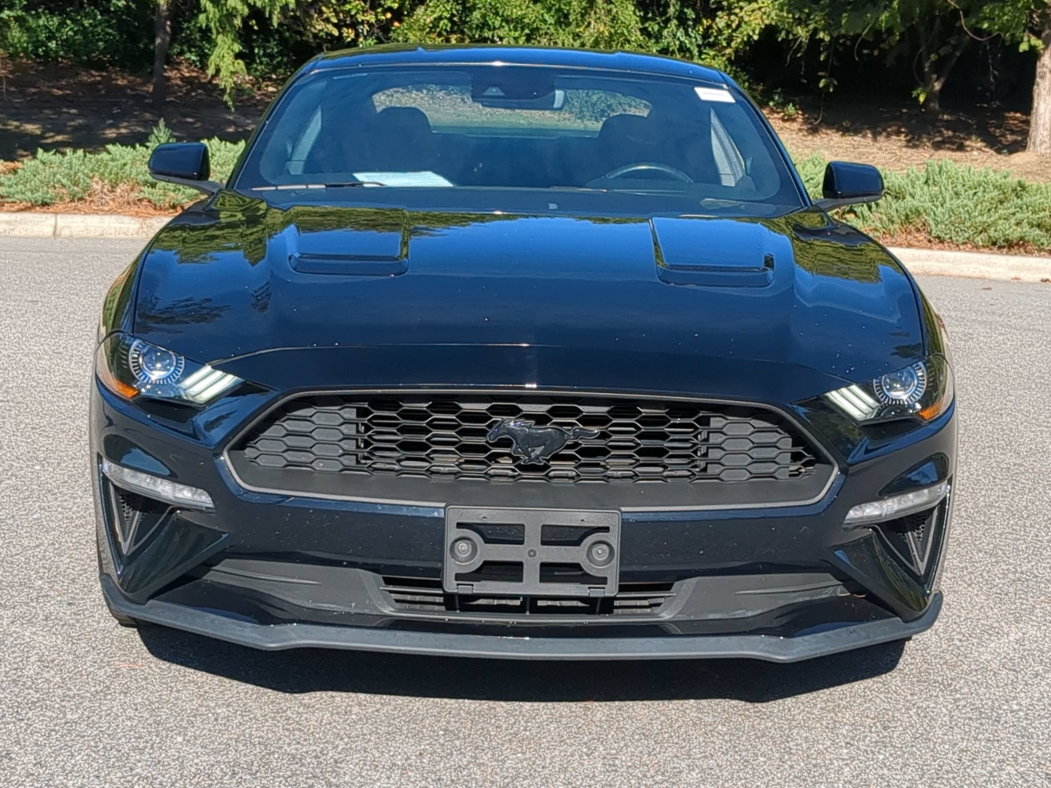 2023 Ford Mustang EcoBoost