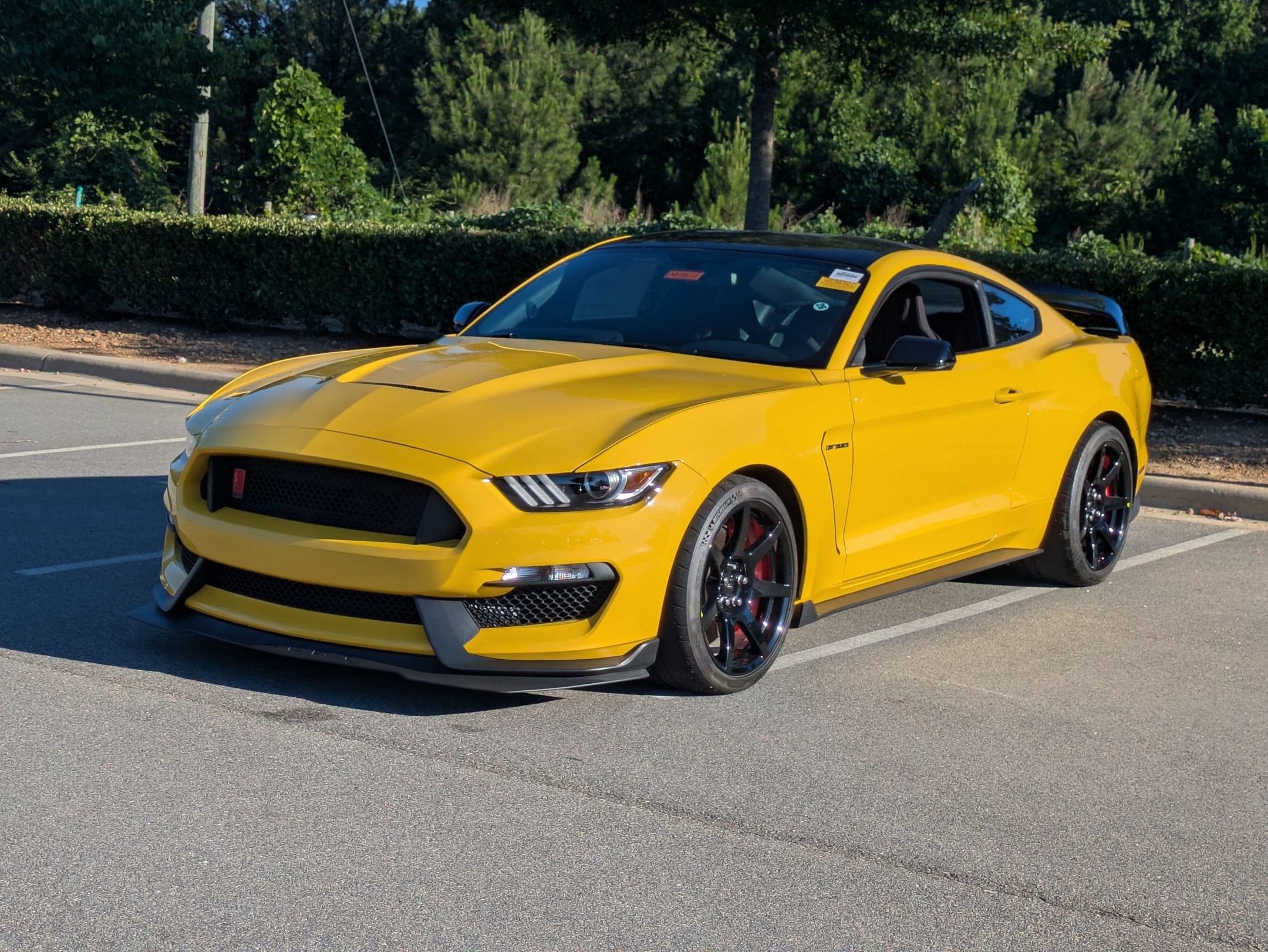 2017 Ford Mustang Shelby GT350R