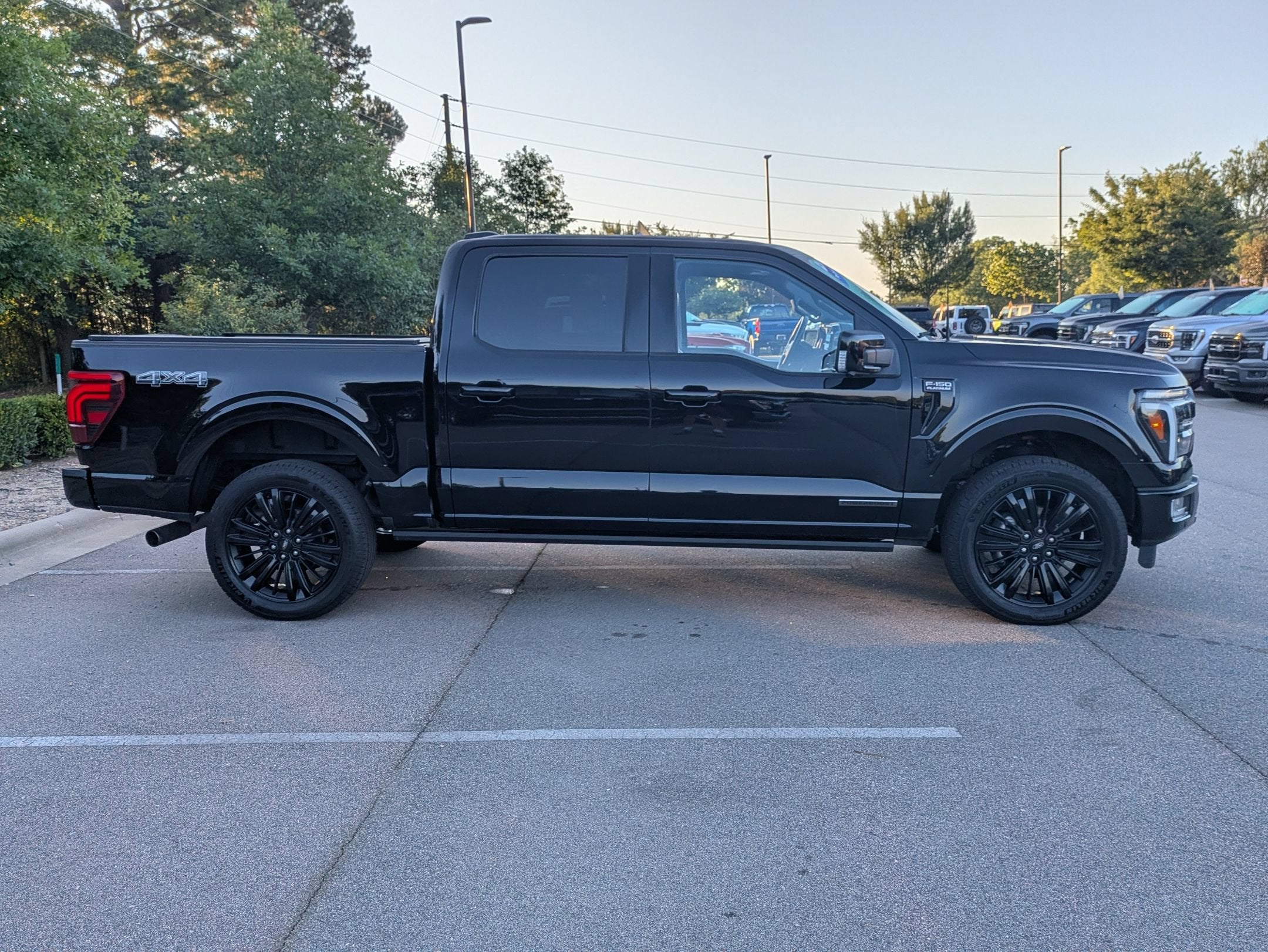 2025 Ford F-150 Platinum